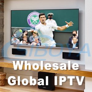 Wholesale IPTV Reseller Panel Hot for the world with lowest price