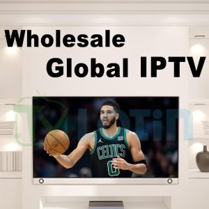 Wholesale IPTV panel and over 20 types of IPTV servers are available