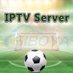 Hot Selling IPTV Server has Ultra stable IPTV HD channels with Global Live&Movie
