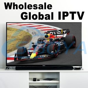 Global IPTV Live TV Access with HD IPTV Channels also can get all world IPTV Panel